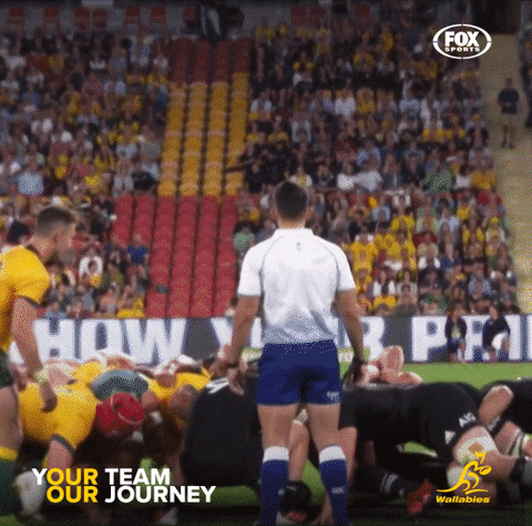 GIF by Wallabies Official