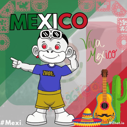 Cinco De Mayo Mexico GIF by Zhot