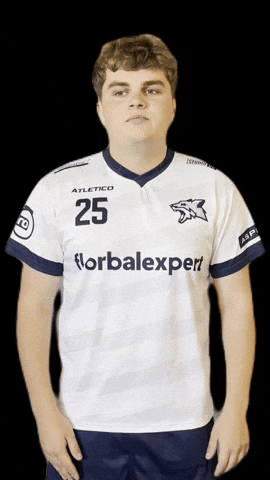 Kralupy Wolves GIF