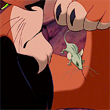 the lion king disney GIF
