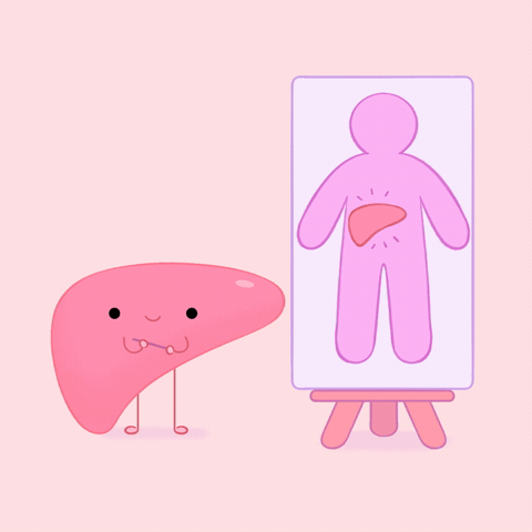 Health Explain GIF by Story Leaf