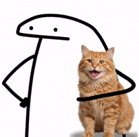 Cute Cat GIF