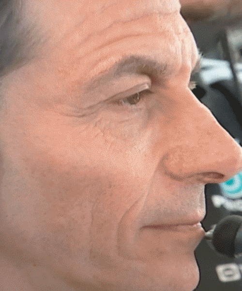 Wolf F1 GIF