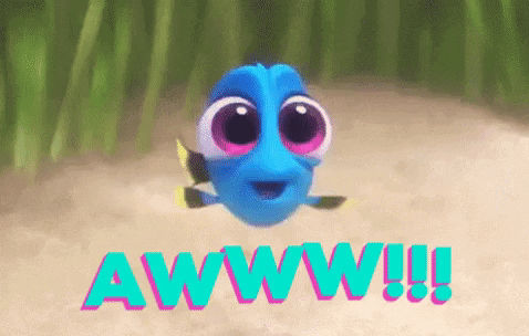 giphy.gif?cid=ecf05e47h3szazsdm33bdfic3v