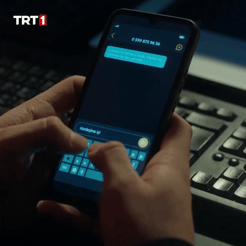 Text Phone GIF by TRT