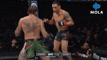 Angry Knock Out GIF by MolaTV
