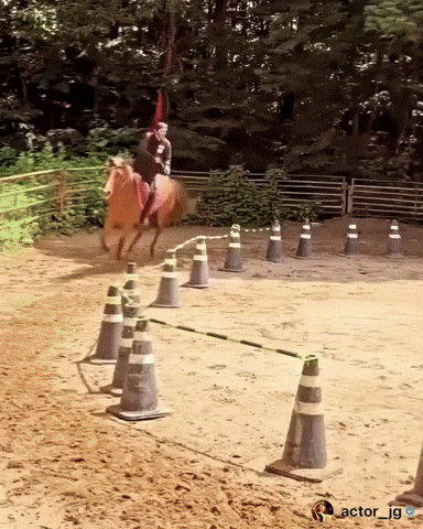 Horseback Riding Jg GIF
