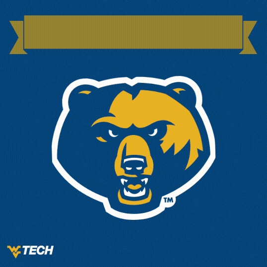 Graduation Graduate GIF by WVU Tech Golden Bears