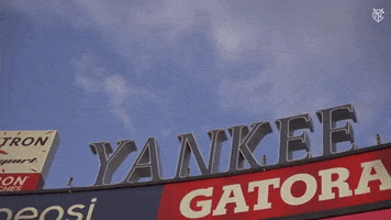 New York Yankees GIF by NYCFC