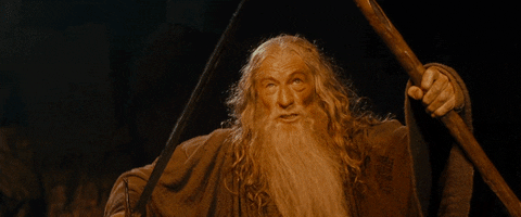 You Shall Not Pass Lord Of The Rings GIF