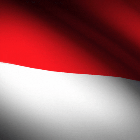 indonesia meaning, definitions, synonyms