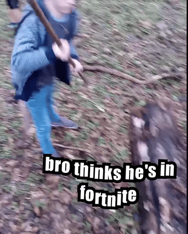 Fortnite GIF