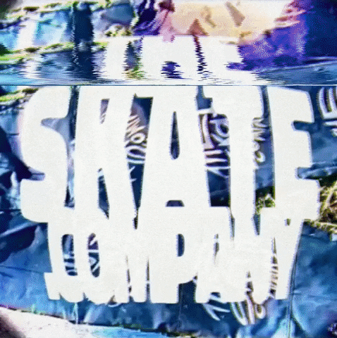 Skate Skating GIF by THESKATE.COMPANY