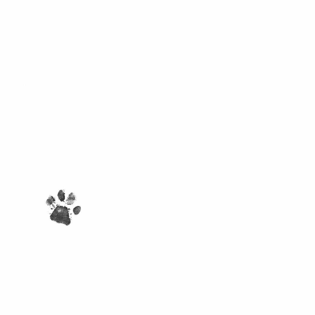 Kemique GIF