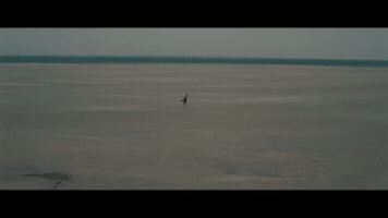 Christopher Nolan GIF