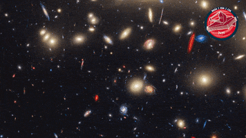 James Webb Nasa GIF by ESA Webb Space Telescope