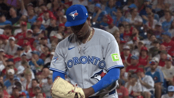 Blue Jays Baseball GIF by Toronto Blue Jays