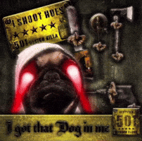 Cool Pug GIF