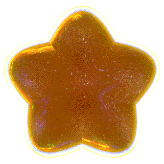 Gold Star Sticker