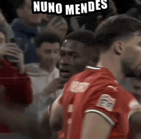 Cristiano Ronaldo Portugal GIF
