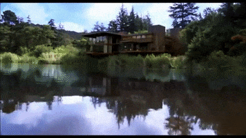 Movie GIF