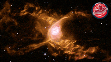 James Webb Nasa GIF by ESA Webb Space Telescope