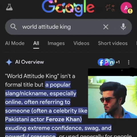 Pakistan Cricket Khaani GIF