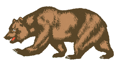 Bear California Sticker by mayfly
