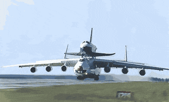 plane airplane GIF