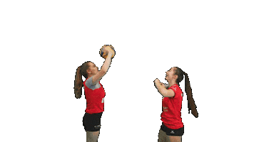 TB/ASV Regenstauf Sticker