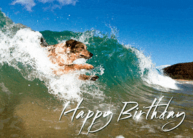 Happy Birthday Surf GIF