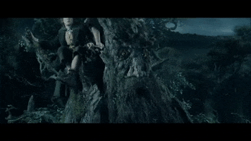 Lotr GIF