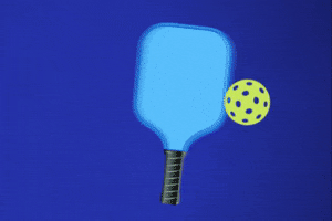 Pickleball Tcs GIF by TripleCrownSports