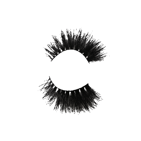 Charmed and Armed Sticker