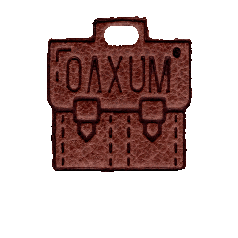 Viaje Backpack Sticker by Artigo