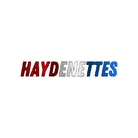 HaydenSynchro Sticker