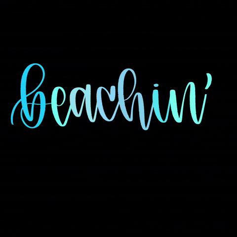 Beach Beaching GIF