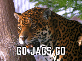 Jacksonville Jaguars Football GIF by Sealed With A GIF