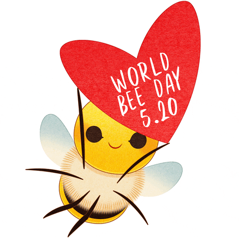World Bee Day Gifs Get The Best Gif On Giphy