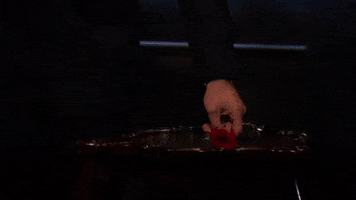 episode 2 final rose GIF by The Bachelor