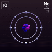 Loop Neon GIF by xponentialdesign