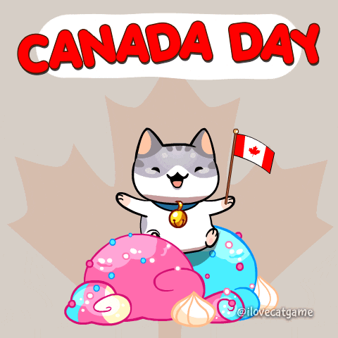 Happy Canada Flag GIF by Mino Games
