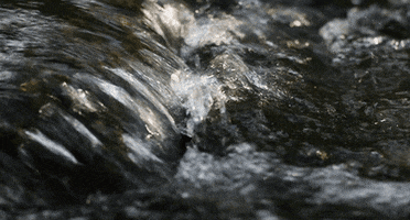 water stream GIF by Head Like an Orange