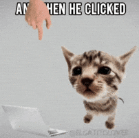 Cat Post GIF