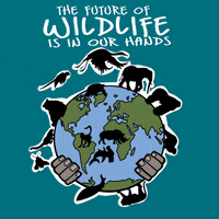 Wild Life Earth GIF by INTO ACTION
