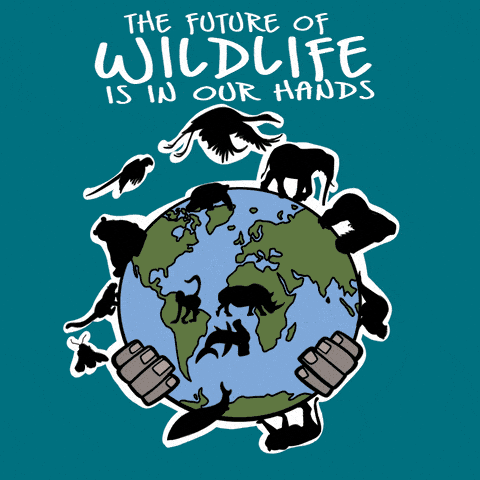 Wild Life Earth GIF by INTO ACTION