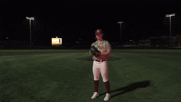 College Baseball GIF by Pearl River Athletics