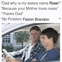 Tennessee Volunteers GIF