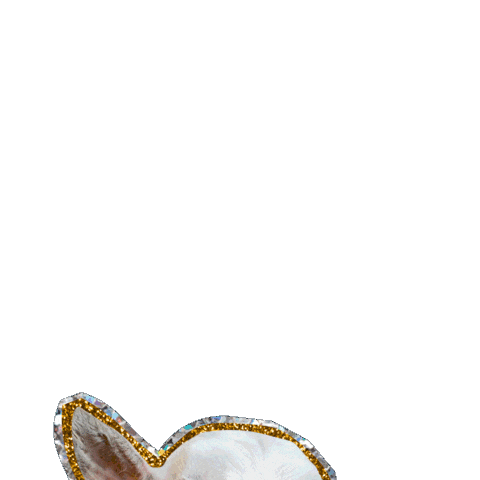 Happy Birthday Party Sticker