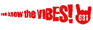 You Know The Vibes Sticker by straightup631